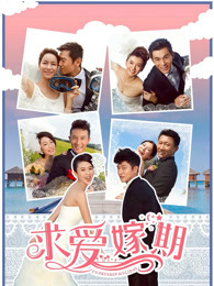 求爱嫁期海报