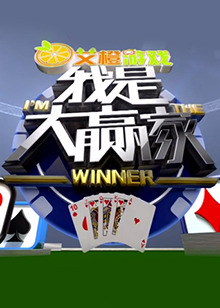 我是大赢家2016海报