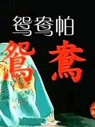 鸳鸯帕海报