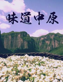 味道中原海报