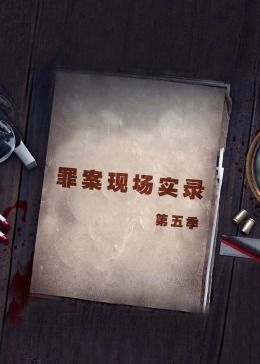 罪案现场实录第五季海报